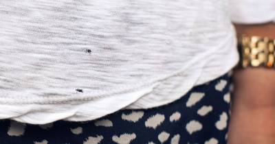 This Is Why T-Shirts Get Those Tiny Holes