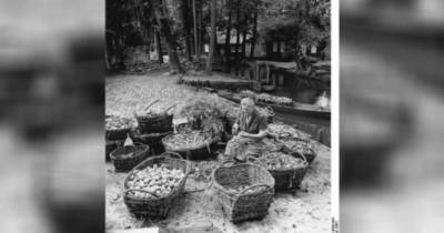 Onions Actually Had A Totally Different And Surprising Use In The Middle Ages