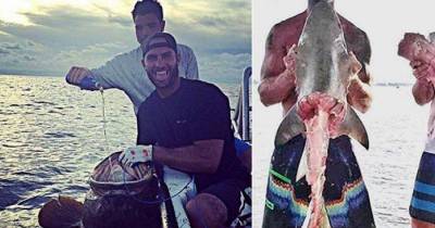 Men Who Dragged Helpless Shark Tortured Other Animals Too, Posted Them On Social Media