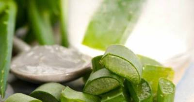 Amazing Benefits Of Aloe Vera