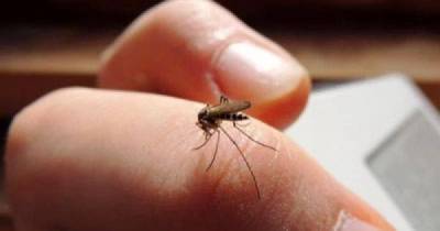 Things That Make You Extra Attractive To Mosquitoes