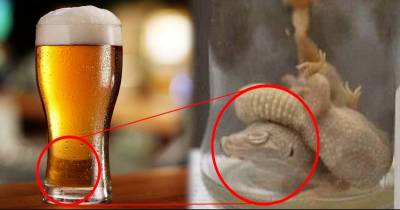 Man Becomes Ill After Drinking Popular Beer With DEAD Geckos Inside!