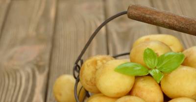Surprising Health Benefits Of Potatoes