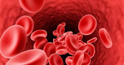 Natural Ways To Improve Blood Circulation