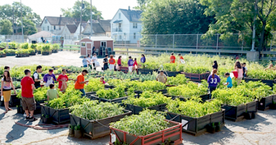 The Future Of Urban Farms Or Community Gardens Are They One And The Same?