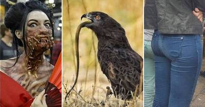 Remarkable Pics That Will Entertain And Amuse You