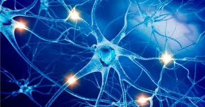 Tricks To Strengthen Your Nervous System