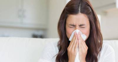 These Could Be The Reasons You're Sneezing All The Time