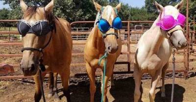 Wild And Crazy Pics To Fuel Your Work Day