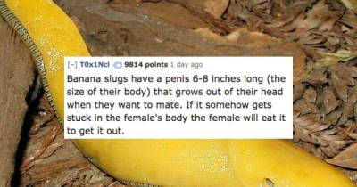 Naughty NSFW Facts You Probably Didn't Know