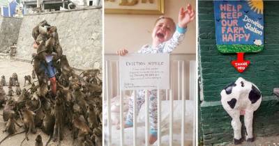 A Collection Of Splendid Pictures That Will Slap Your Boredom