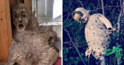 Mother Nature Loves To Scare The Hell Out Of People!