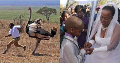 The Most Bizarre Laws In Africa