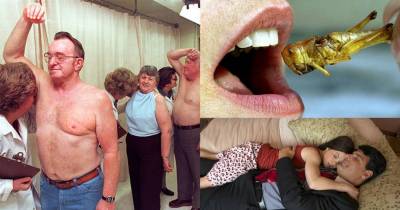 The Most Bizarre Jobs People Actually Have