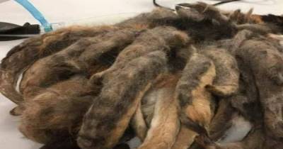 Man Makes The Most Horrific Discovery Under The Bed Of A Woman With Alzheimer's