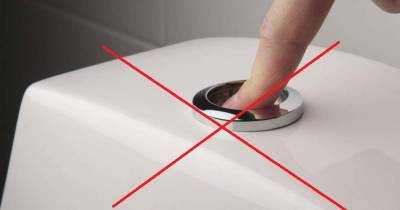 Things You Should Never Flush