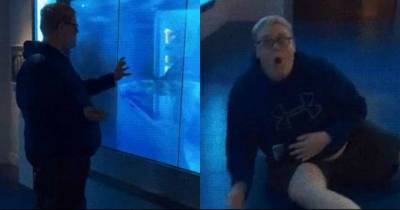 Man Touches Glass Of &lsquo;Shark&rsquo; Tank Immediately Regrets His Decision