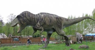 Paleontologists Reveal The Real Reason T-Rex Had Such Short Arms