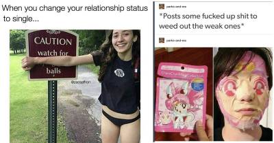 Mood Improving Memes For Your Hectic Day