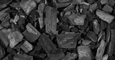 10 Impressive Charcoal Uses That May Just Change Your Life