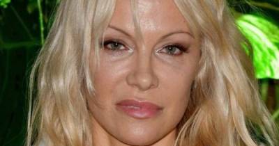Pamela Anderson Victim Blames Harvey Weinsten Accusers