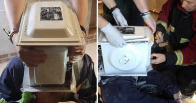 YouTube Prankster's On-Camera Stunt Goes Horribly Wrong, Cemented Head Into The Microwave
