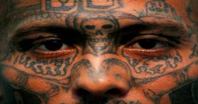 The 5 Countries With The Largest Gang Infestations In The World.