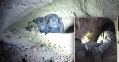 After A Town Hears Cries From Deep Within A Cave, One Man Goes On A Rescue Mission