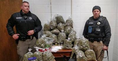 Elderly Couple Busted With 60 Pounds Of Marijuana, Claim It's For 'Christmas Presents'