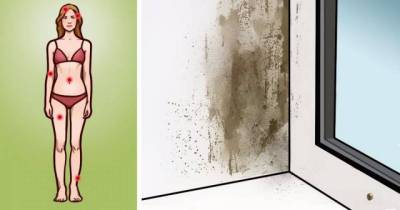 Mold Illness: Signs, Symptoms And What You Need To Know