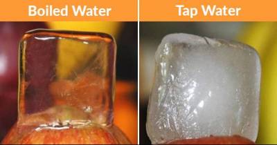Facts About The World That Will Surprise Even The Most Intelligent People