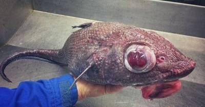 Fisherman Shows Off His Catches That Look Like They Are Straight From A Horror Movie