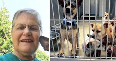Widow Goes To Shelter And Asks For Dog That No One Wanted &ndash; Here&rsquo;s Who They Gave Her