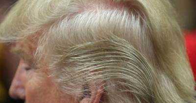 Donald Trump&rsquo;s Bizarre Hairdo Has Finally Been Explained