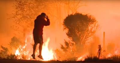 This Anonymous Hero Saving A Bunny From Wildfire Will Restore Your Faith In Humanity
