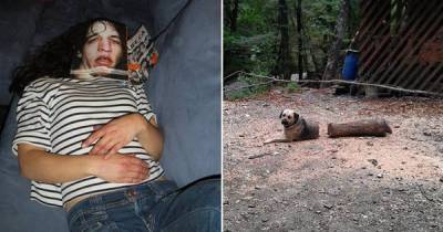 12 Crazy Pictures That You'll Have To Stare At To Understand