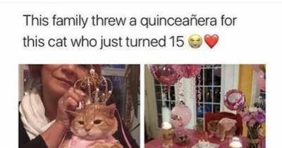 13 Pics That Will Lighten Up Your Mood.