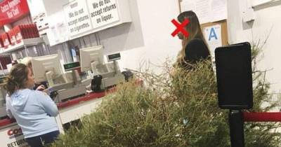 Woman Returns Dead Christmas Tree To Costco And Actually Gets A Full Refund
