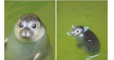 Heartwarming Pictures That'll Make You Laugh Out Loud