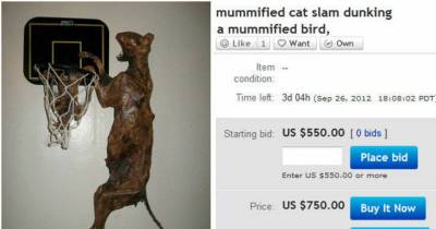 8 Of The Craziest Items Ever Sold On eBay