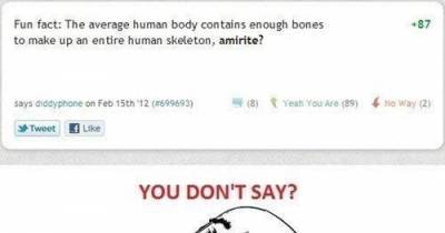 Stupid Facts That Only An Idiot Wouldn't Realize.