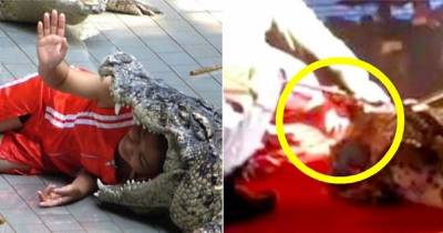 Insane Circus Performer Quickly Regrets Sticking His Head Into A Crocodile&rsquo;s Mouth