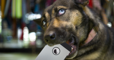 This Is What It Would Be Like If Your Dog Could Text