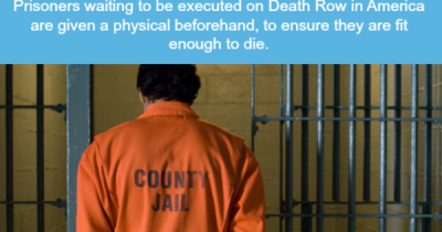 10 Facts That Prove That We Do Indeed Live In A Strange World.