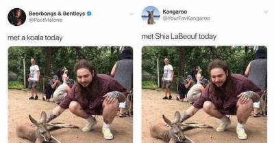 8 Crazy Memes For You To Steal