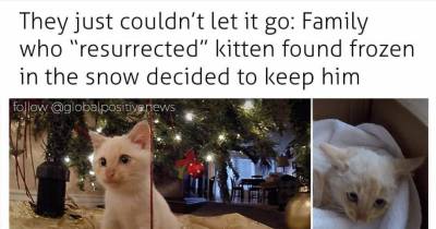 Cute Memes That Will Make You Feel Better About The World