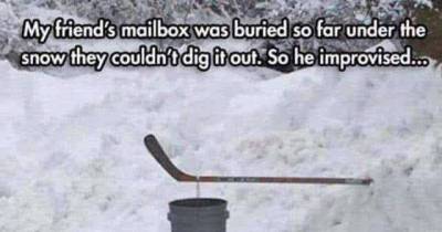 8 Funny Pictures To Start Your Day Off With Laughter
