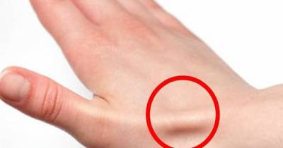 12 Body Parts And Functions We Bet You Never Knew Existed