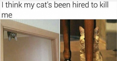 It's Meme Time Once Again So Strap In And Enjoy