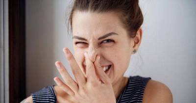 Stinky Facts About Farts That You May Not Know